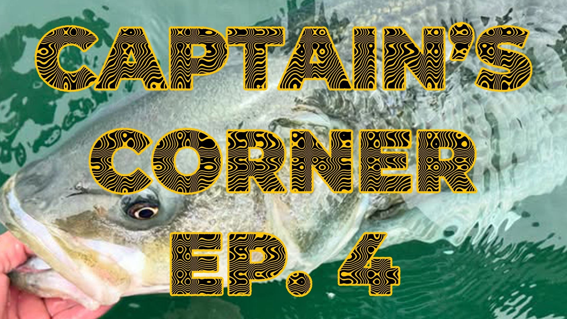 Captain's Corner EP.4 - Let the fall run begin!