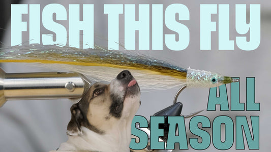 How to Tie a Sand Lance Fly (Sand Eel Pattern) – Step-by-Step Guide