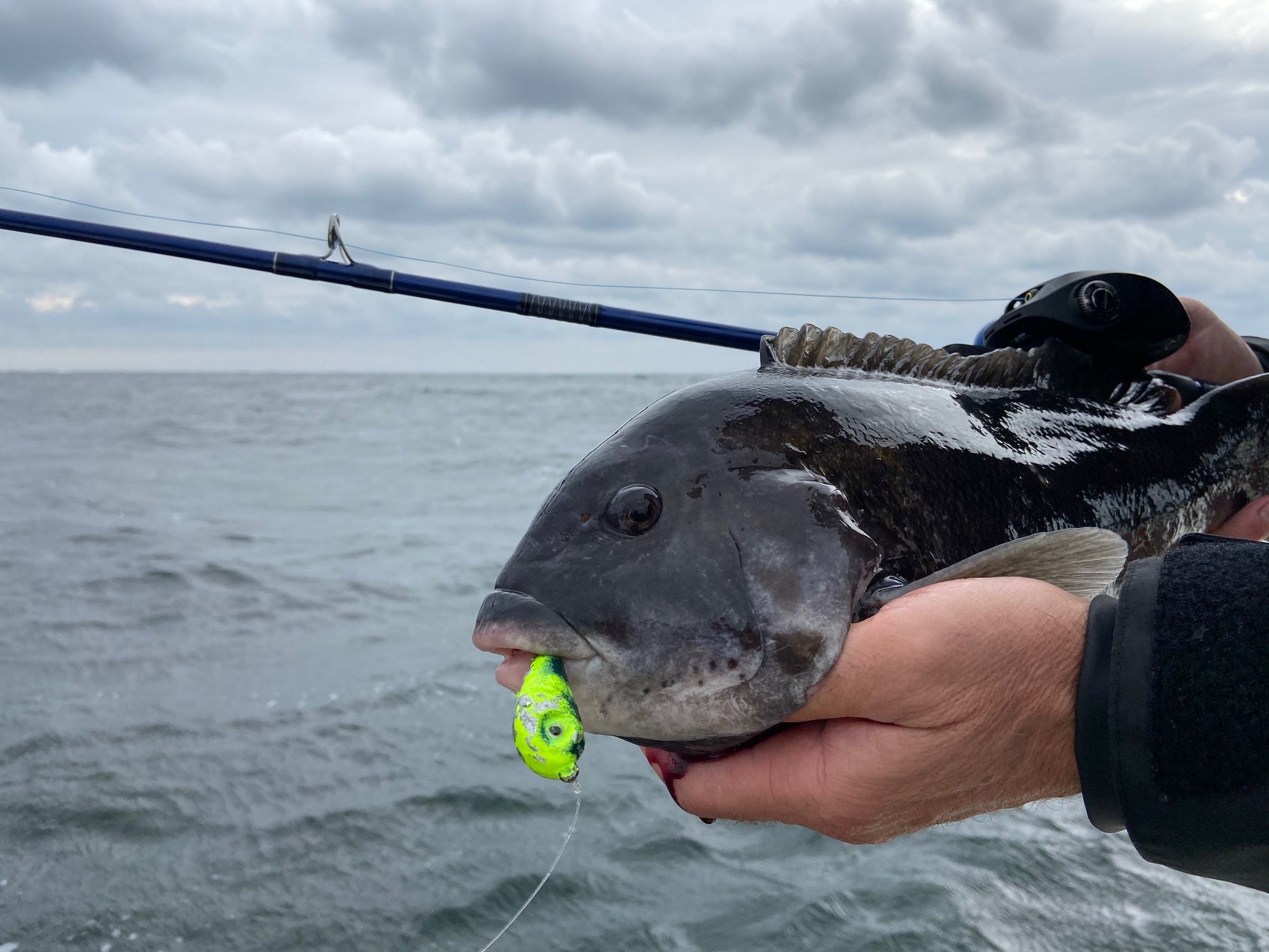 Tackle and Tactics: Jigging for Tog