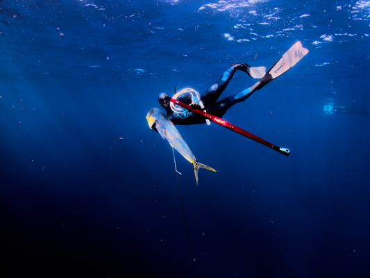 Spearfishing 101 at The Saltwater Edge