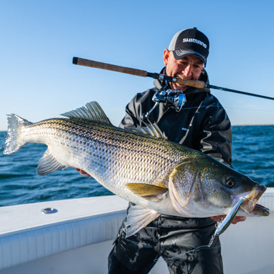 Saltwater Edge Tackle and Tactics: Topwater