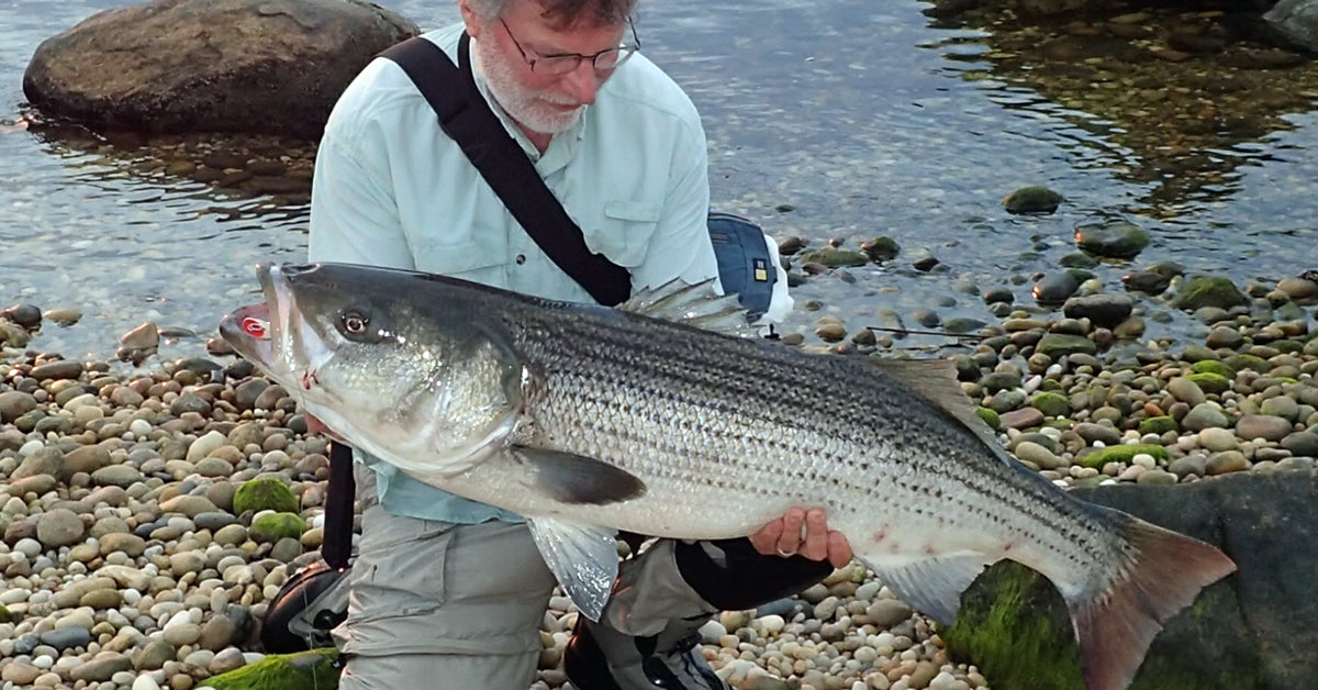 Saltwater Edge Podcast - John Skinner Surfcasting Scientist - Northeast Edition