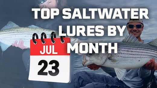 The Ultimate Month-by-Month Guide to Saltwater Fishing Lures
