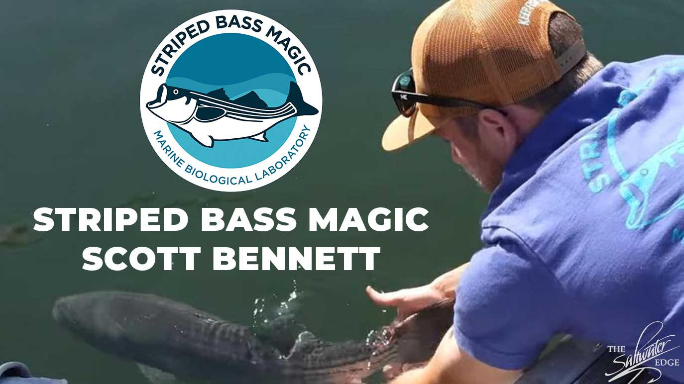 Saltwater Edge Podcast - Scott Bennett - Insights From Striped Bass Magic Research Program