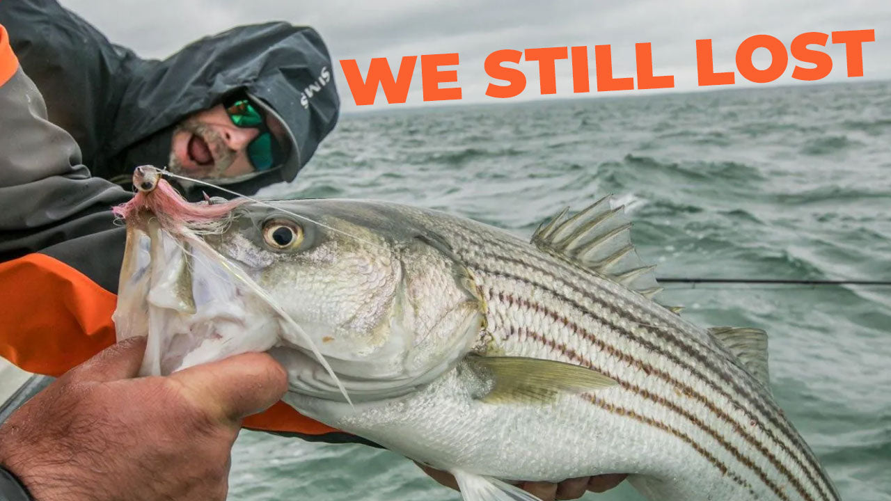 We Did Everything Right and Still Lost: The Inside Story of Rhode Island's Bonito & False Albacore Decision