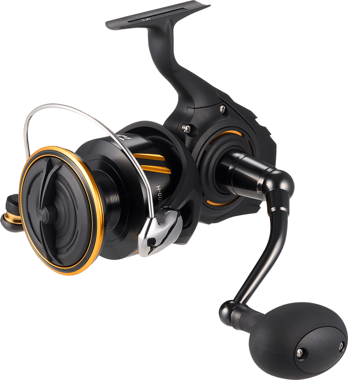 Daiwa 2026 BG SW Spinning Reel