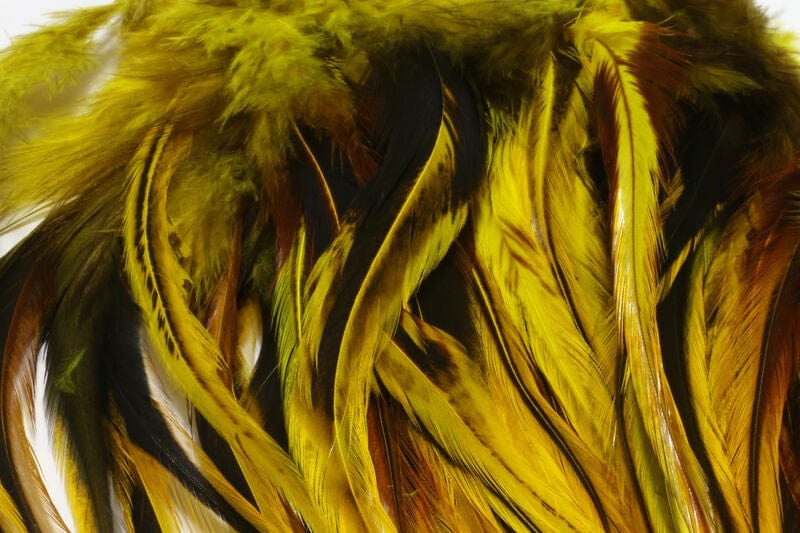 Badger Saddle Hackle