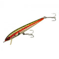  Rainbow Trout