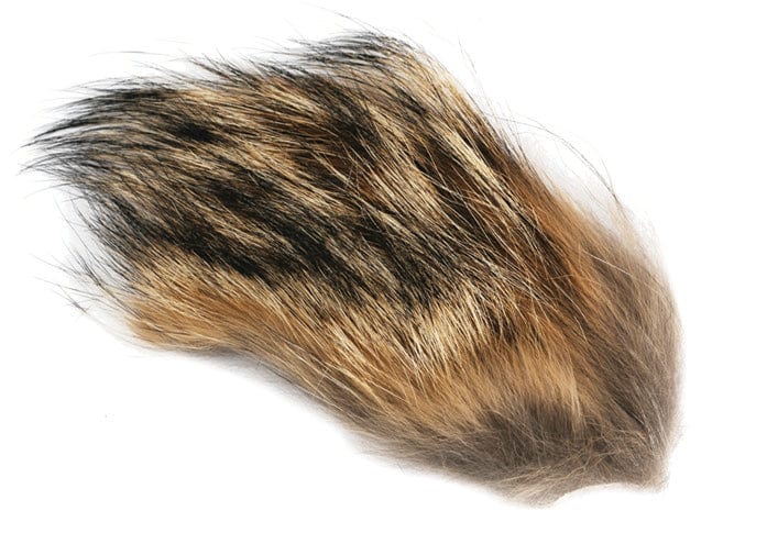 Coyote Fur