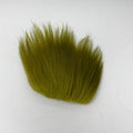  Aceituna