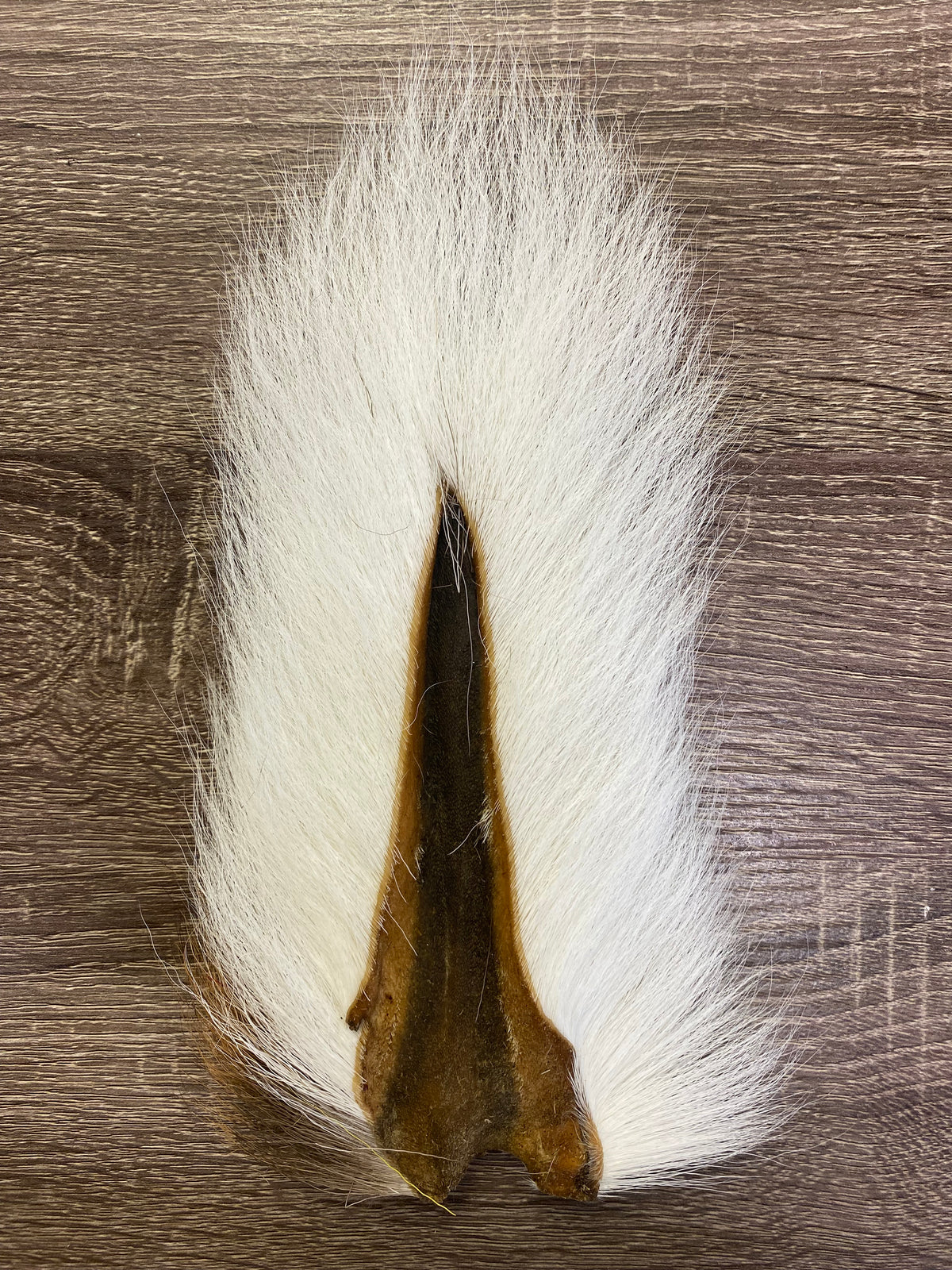 Saltwater Edge Bucktail