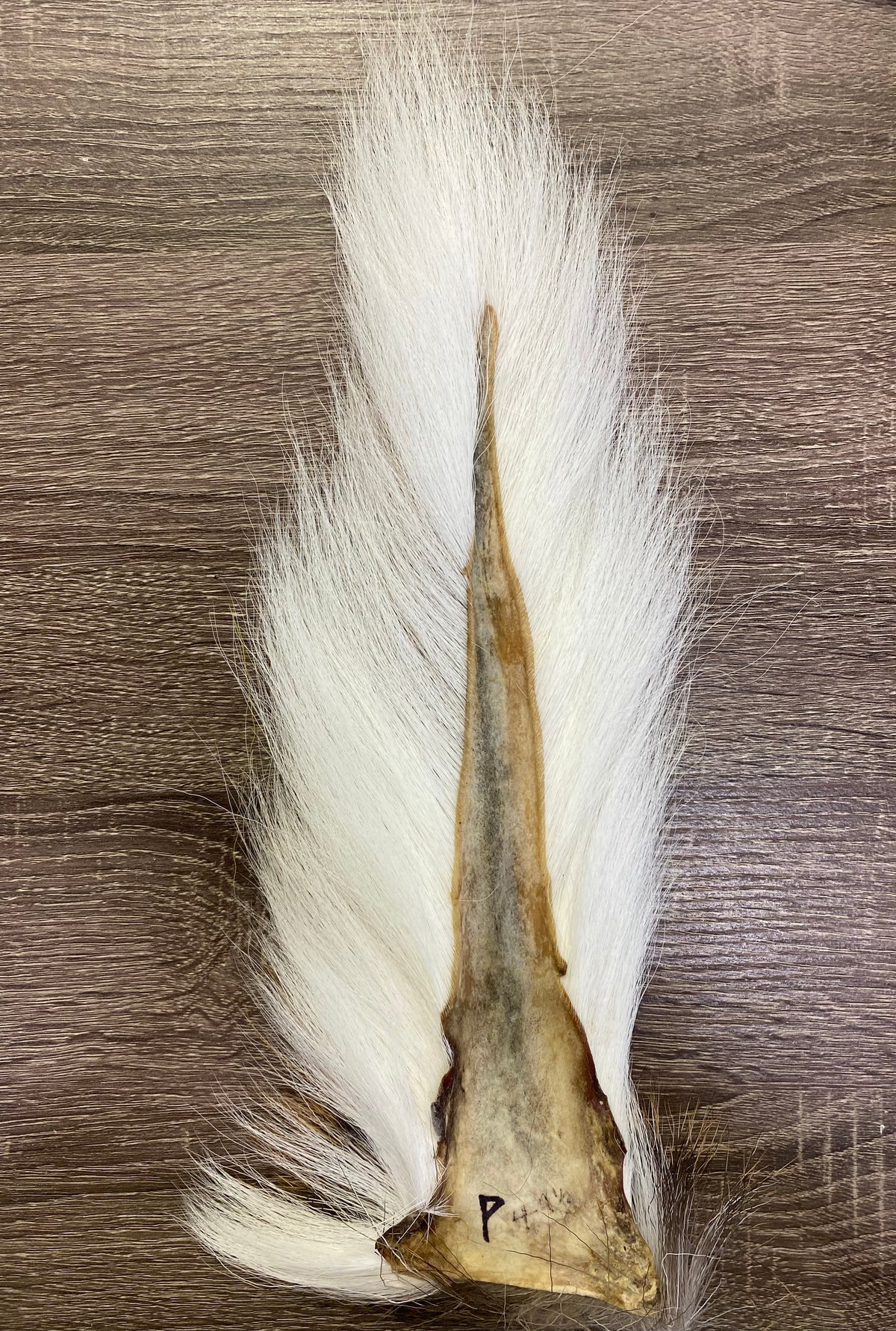 Saltwater Edge Bucktail