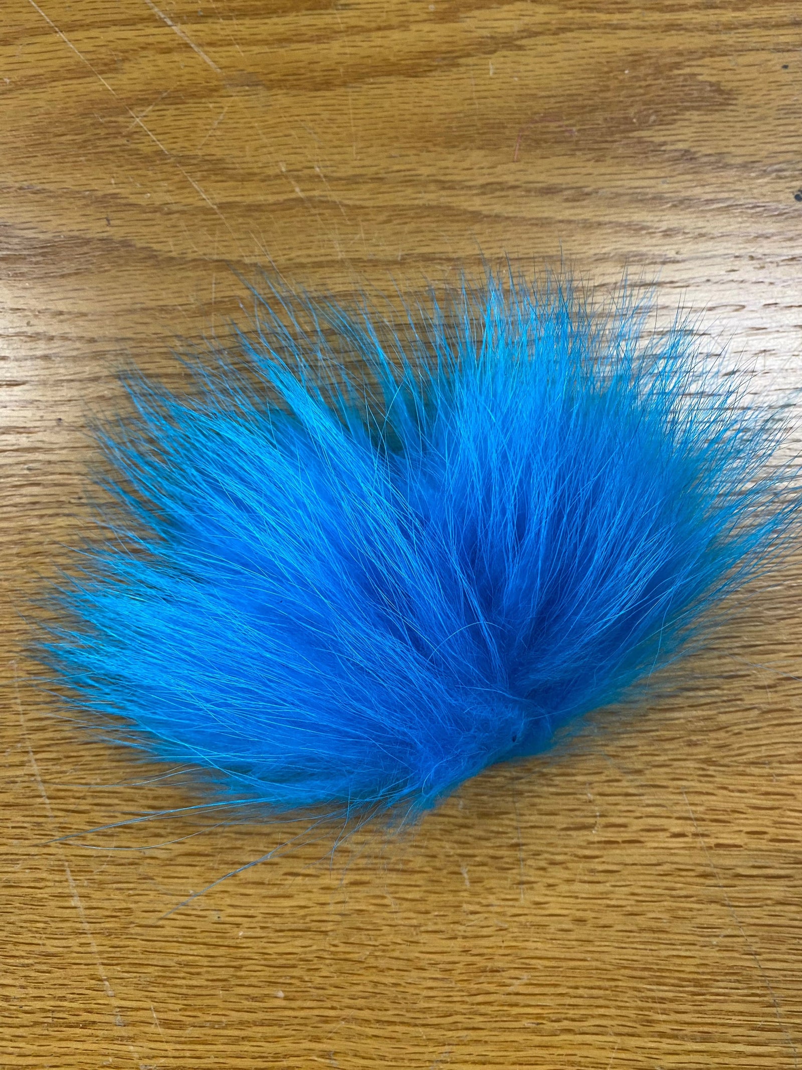 Finn Raccoon Kingfisher Blue