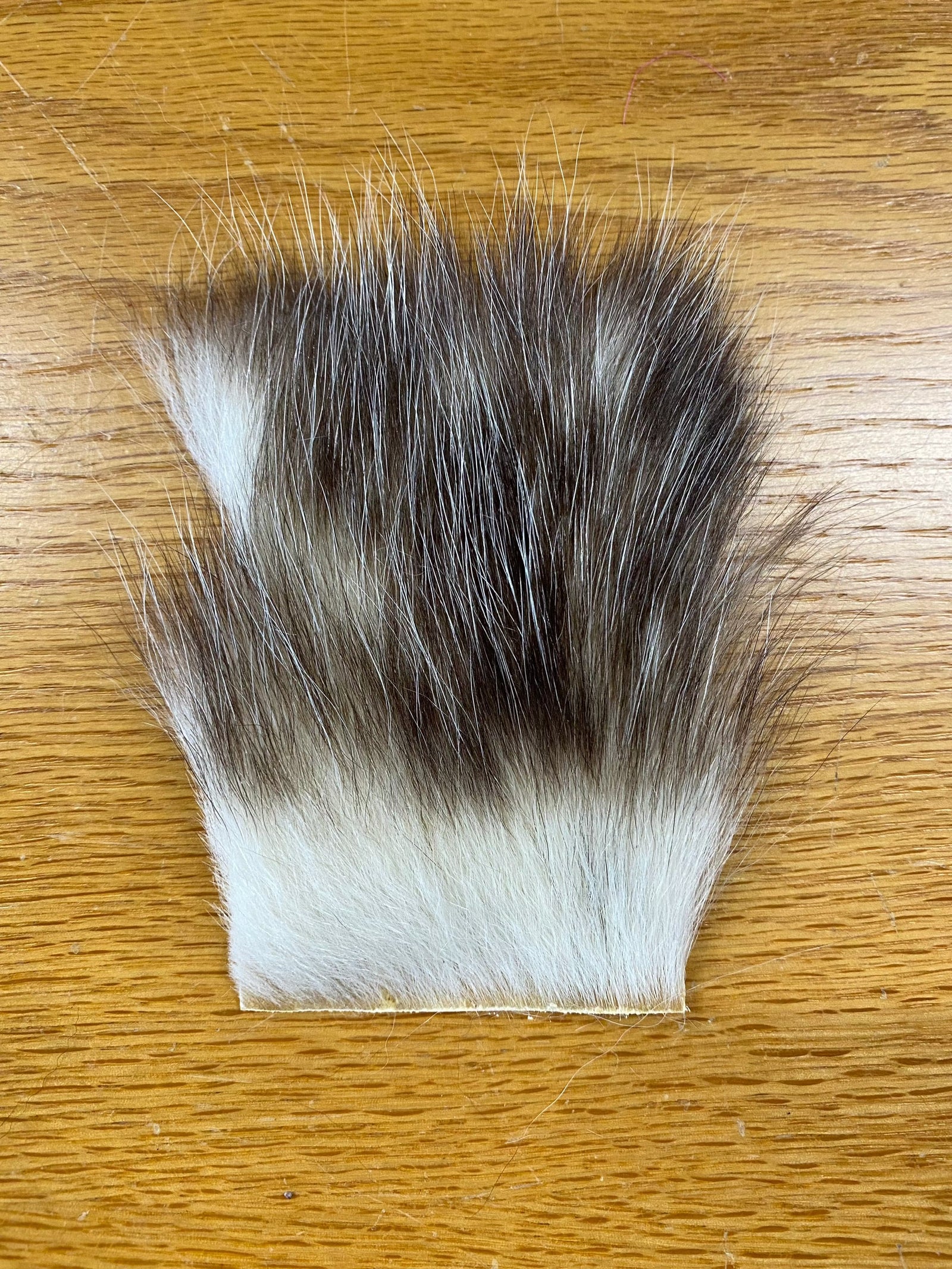 American Opossum Fur
