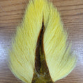  Light Yellow