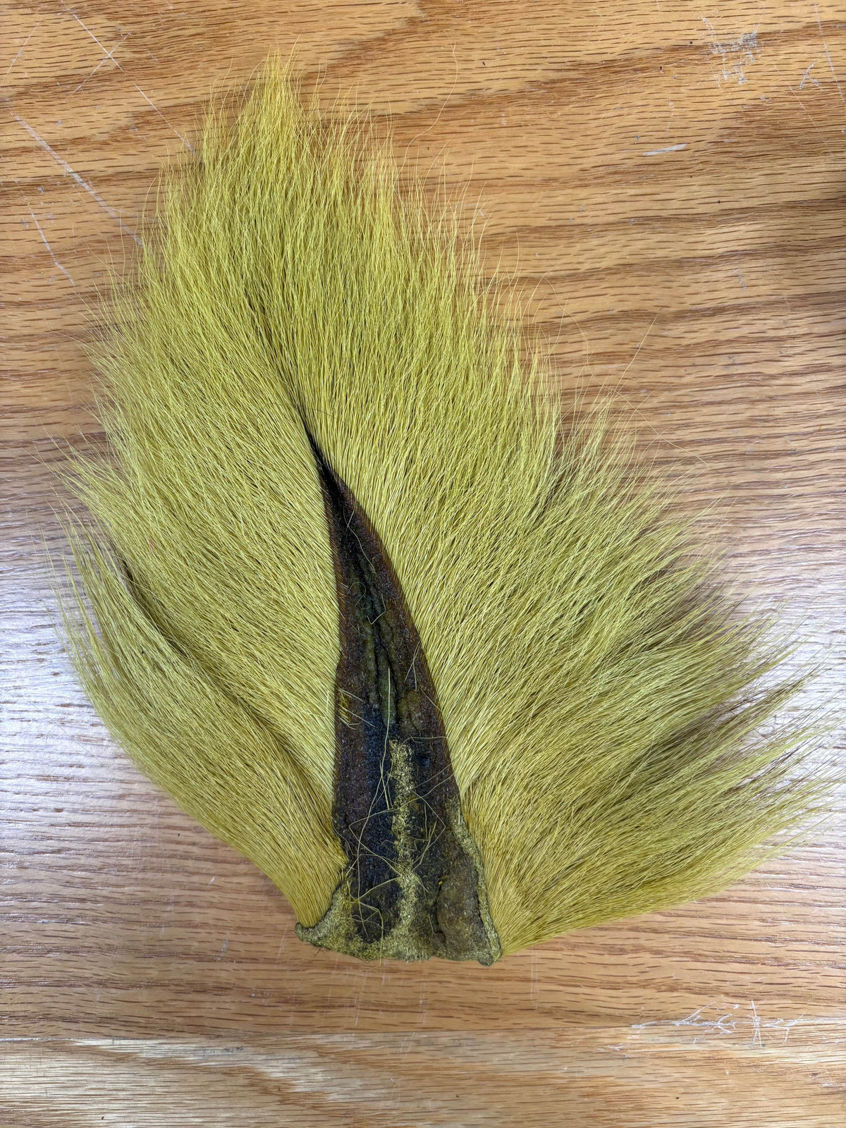 Saltwater Edge Bucktail Standard / Mustard Yellow