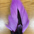  Lilac Purple