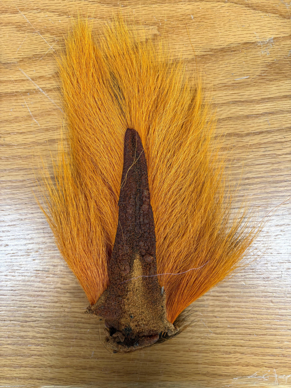 Saltwater Edge Bucktail Standard / Ginger Orange