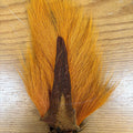 Ginger Orange