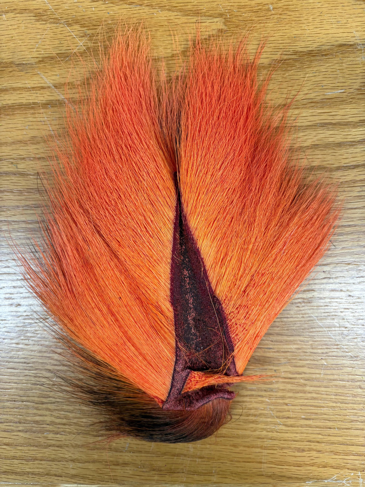 Saltwater Edge Bucktail Standard / Blaze Orange