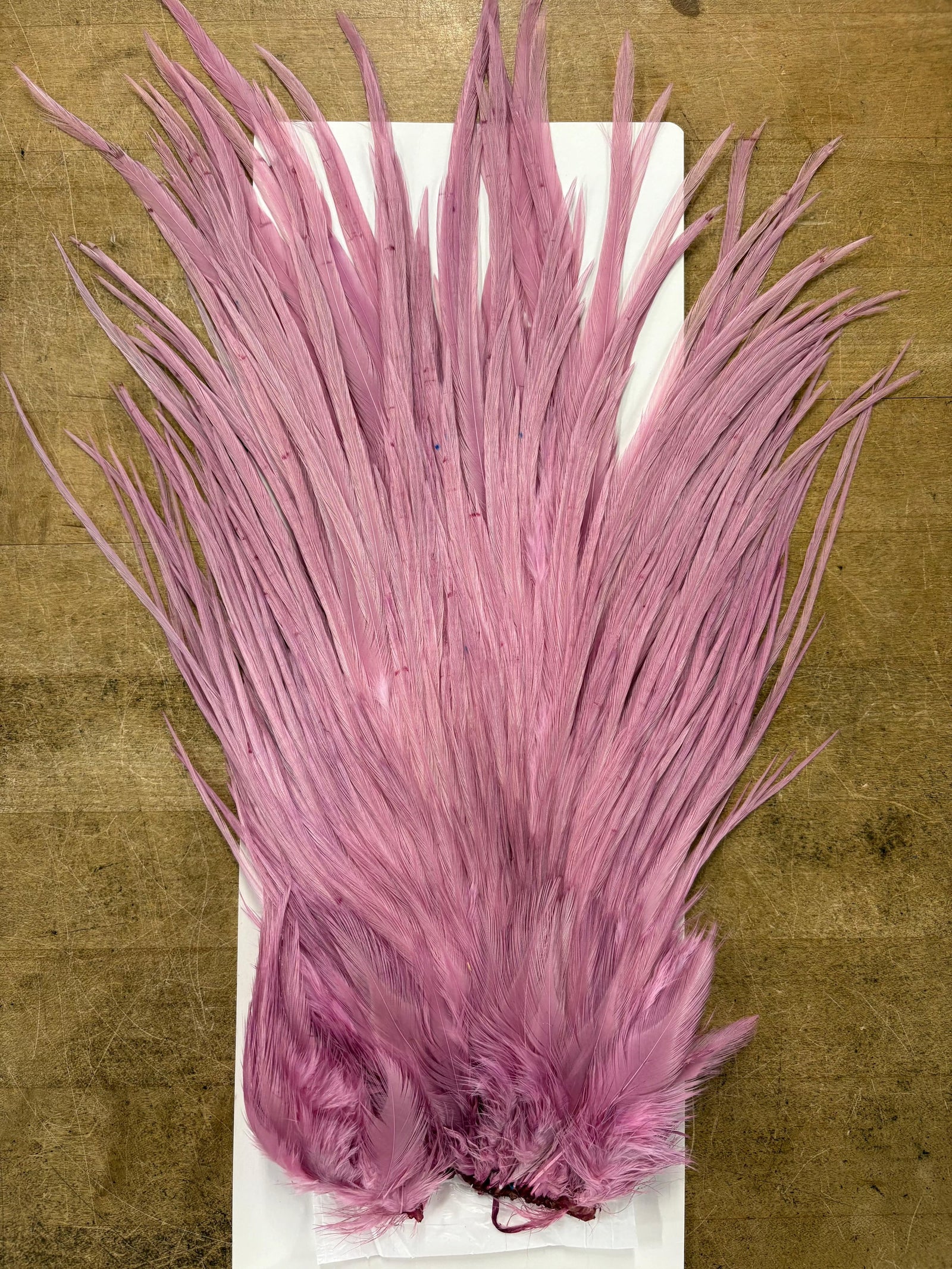 Ewing Saddle Hackle