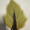 Light Olive