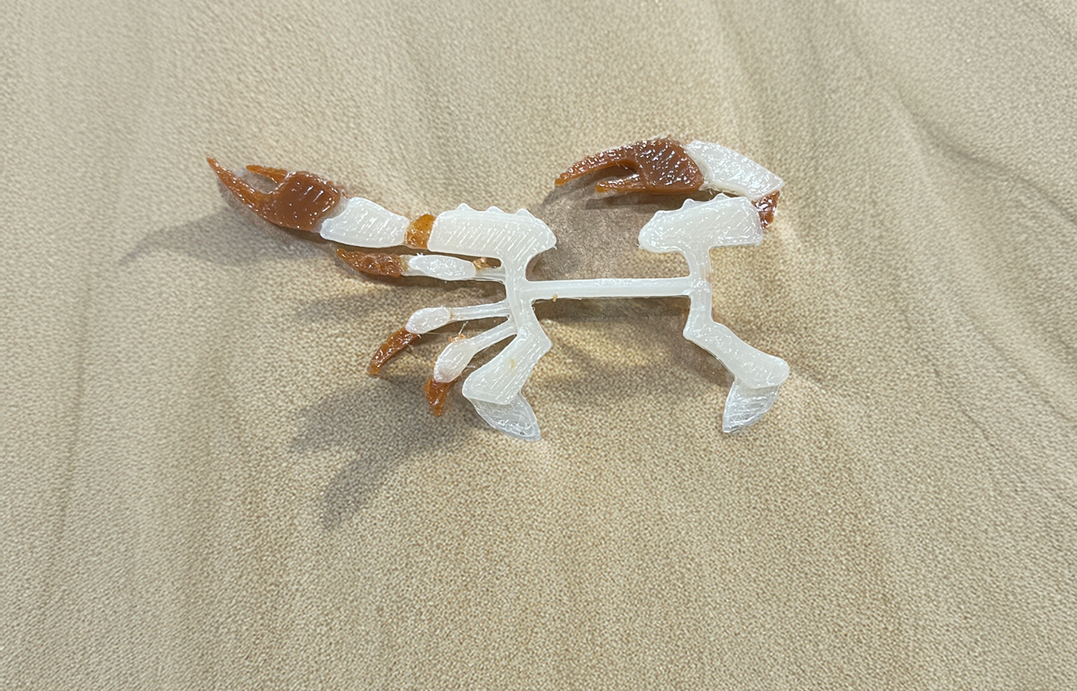 Flats Craft Split Crab