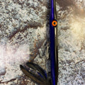  Deep Blue