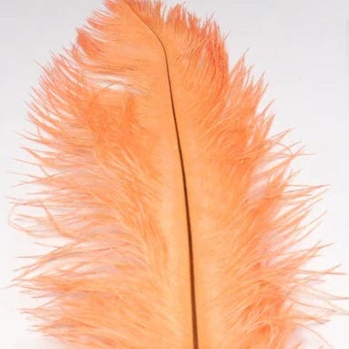 Ostrich Plume Scud Orange