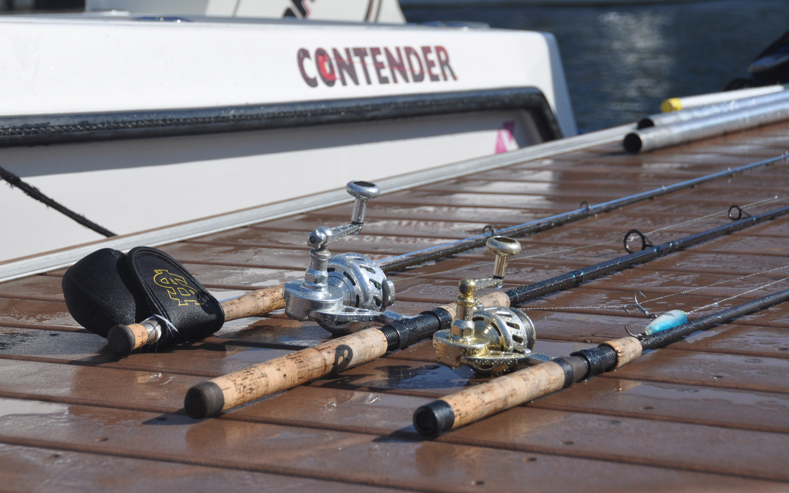 closeup of van staal reels / rods on dock