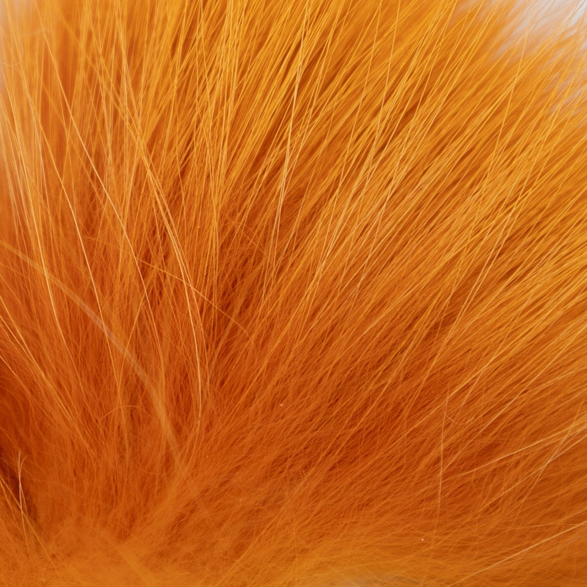Arctic Fox Burnt Orange