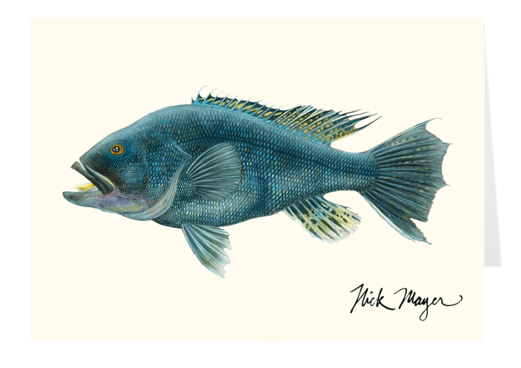 Nick Mayer Note Cards Black Seabass