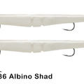  Albino Shad