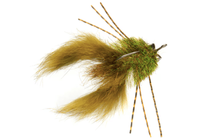 Whalley's Crab Crack Olive