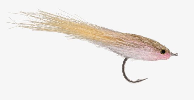 Rio's King Bay Anchovy Tan