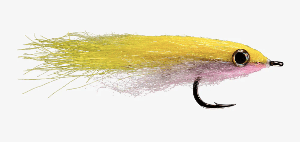 Rio's King Bay Anchovy Yellow/White