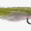  Olive/White