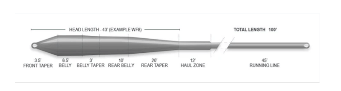 Airflo Superflo Cold Salt Universal