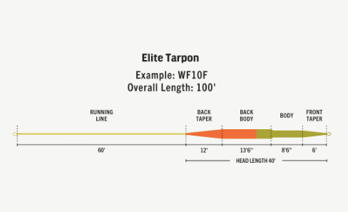 Rio Tropical Series Tarpon