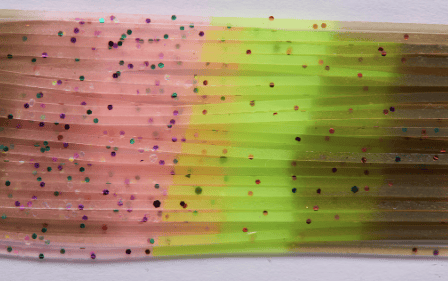 Tri-Color Legs Rainbow Trout