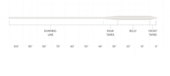 Scientific Anglers Saltwater Clear Intermediate