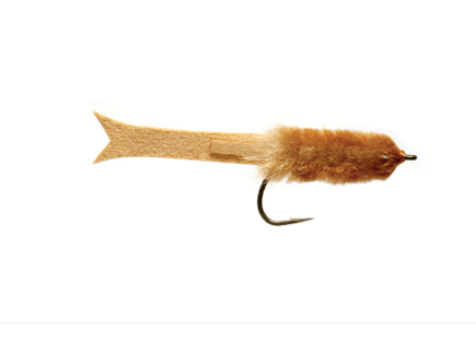 CK Baitfish Tan / 2/0