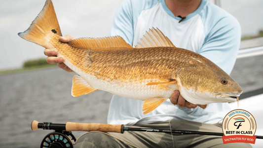 TFO Moment Fly Rod