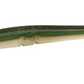  Ayu