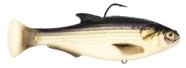 Z-man Shadtron LT 6" / Fishbone / Slow Sink ROF5