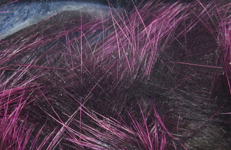 Frostip Rabbit Strips Black/Fuchsia