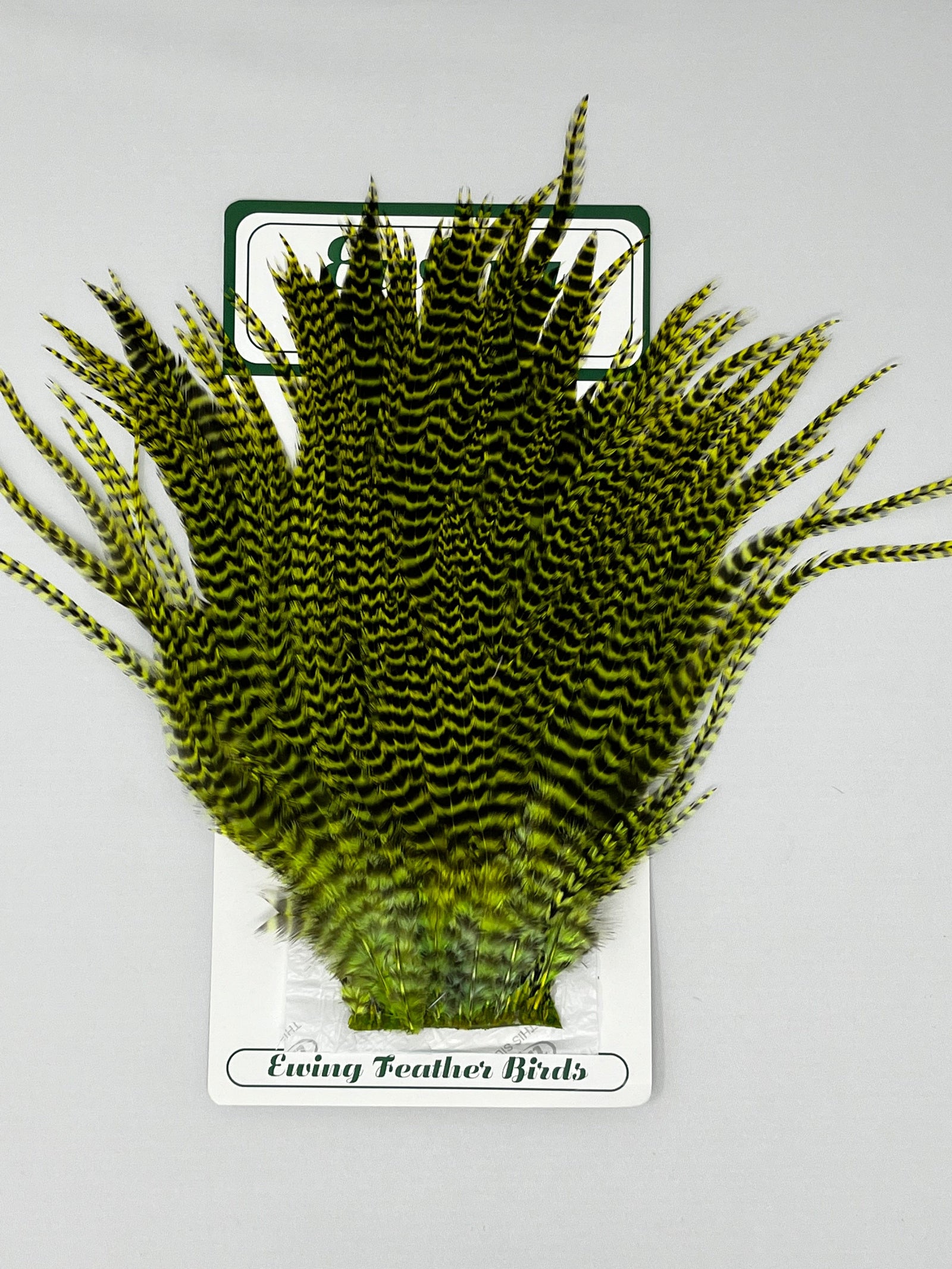 Saltwater Edge Premium Saltwater Streamer Pack