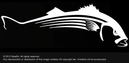 Steelfin Vinyl Decals Large White Striper