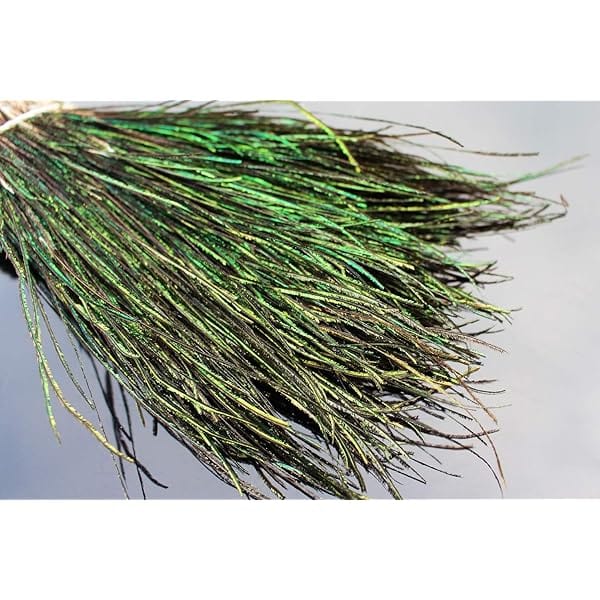 Peacock Herl 5-7"