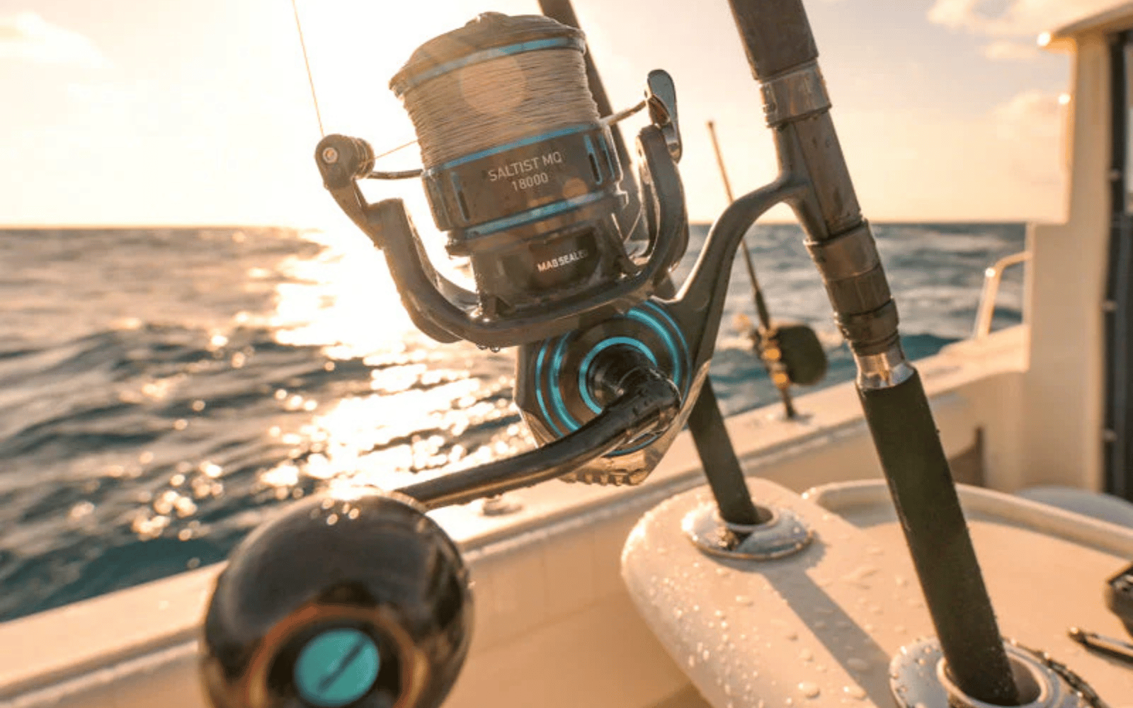 Daiwa Spinning Reels | Saltwater Fishing Reels Tagged "conventional-reels" - The Saltwater Edge Daiwa Spinning Reels | Saltwater Fishing Reels Tagged "conventional-reels" - The Saltwater Edge